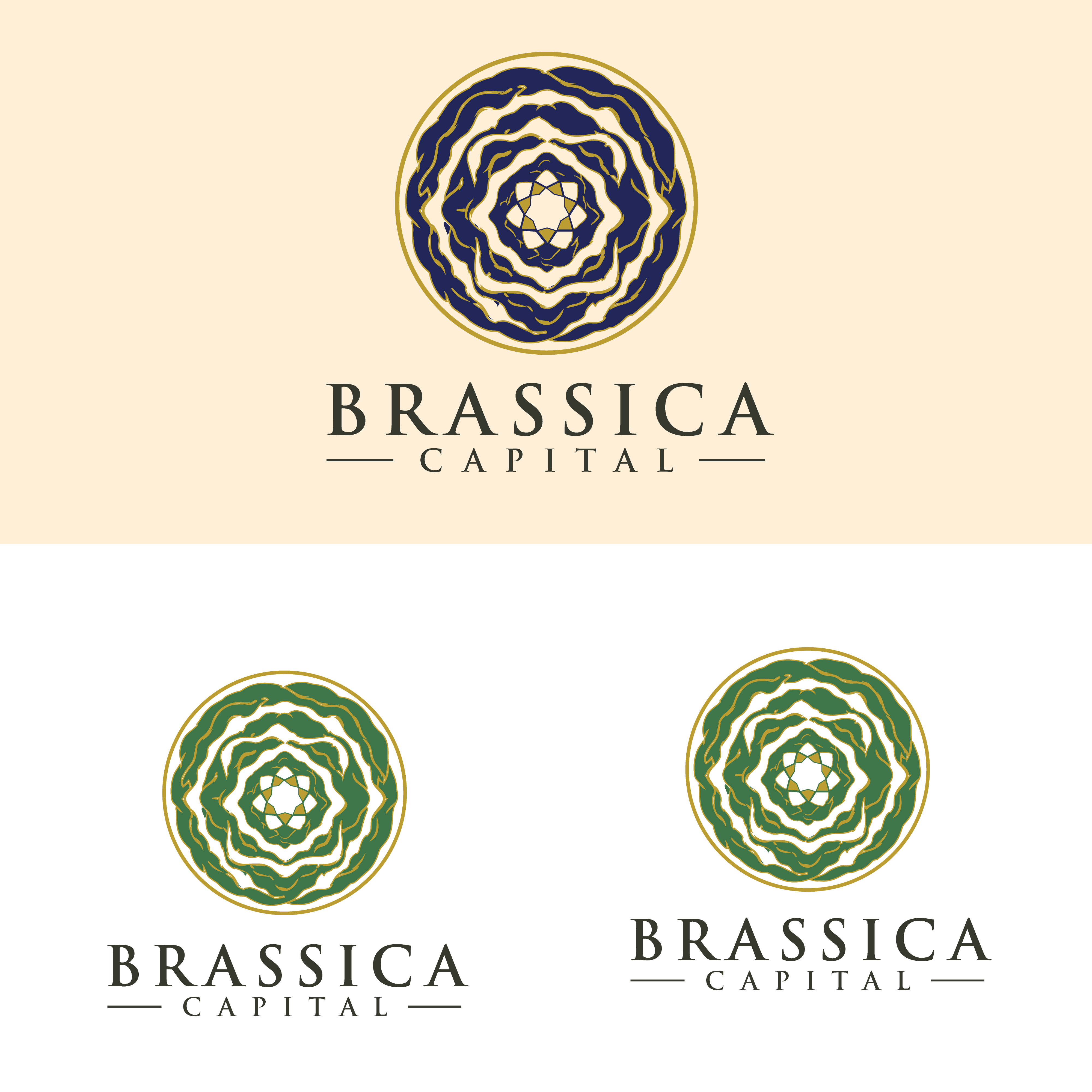 Logo Design by Casey Kelechi for this project | Design #37315079