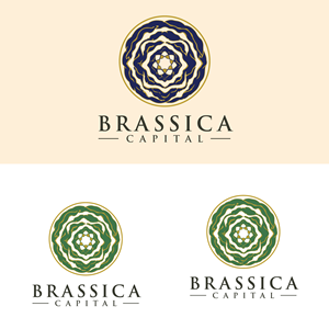 Logo Design by Casey Kelechi for this project | Design: #37315079