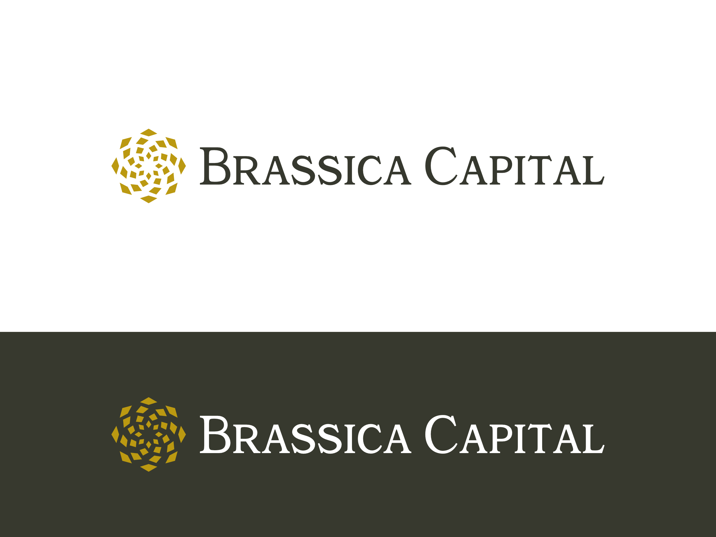 Logo Design by FNH Design for this project | Design #37332414