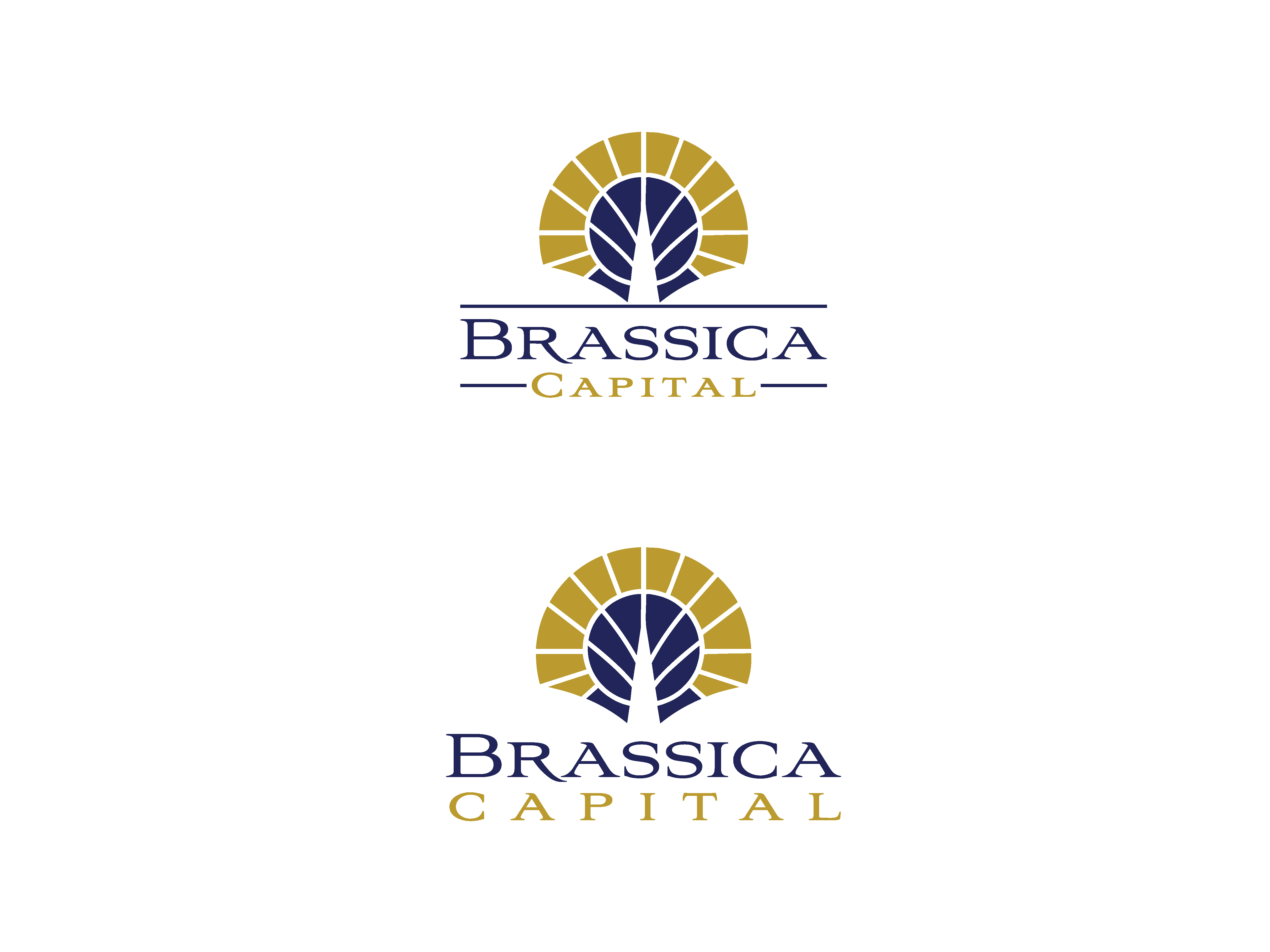 Logo Design by Filip M for this project | Design #37320537