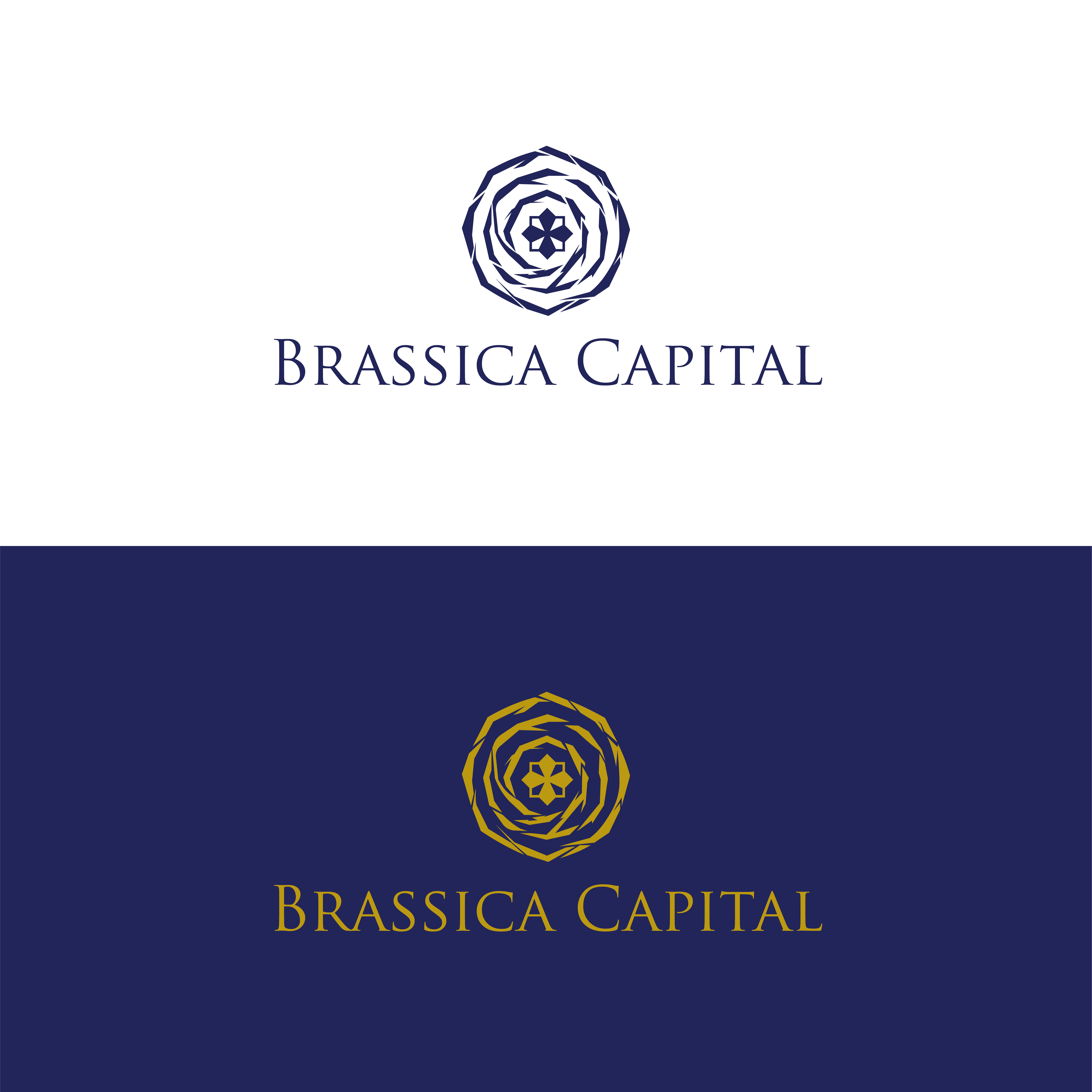 Logo Design by iank for this project | Design #37331288