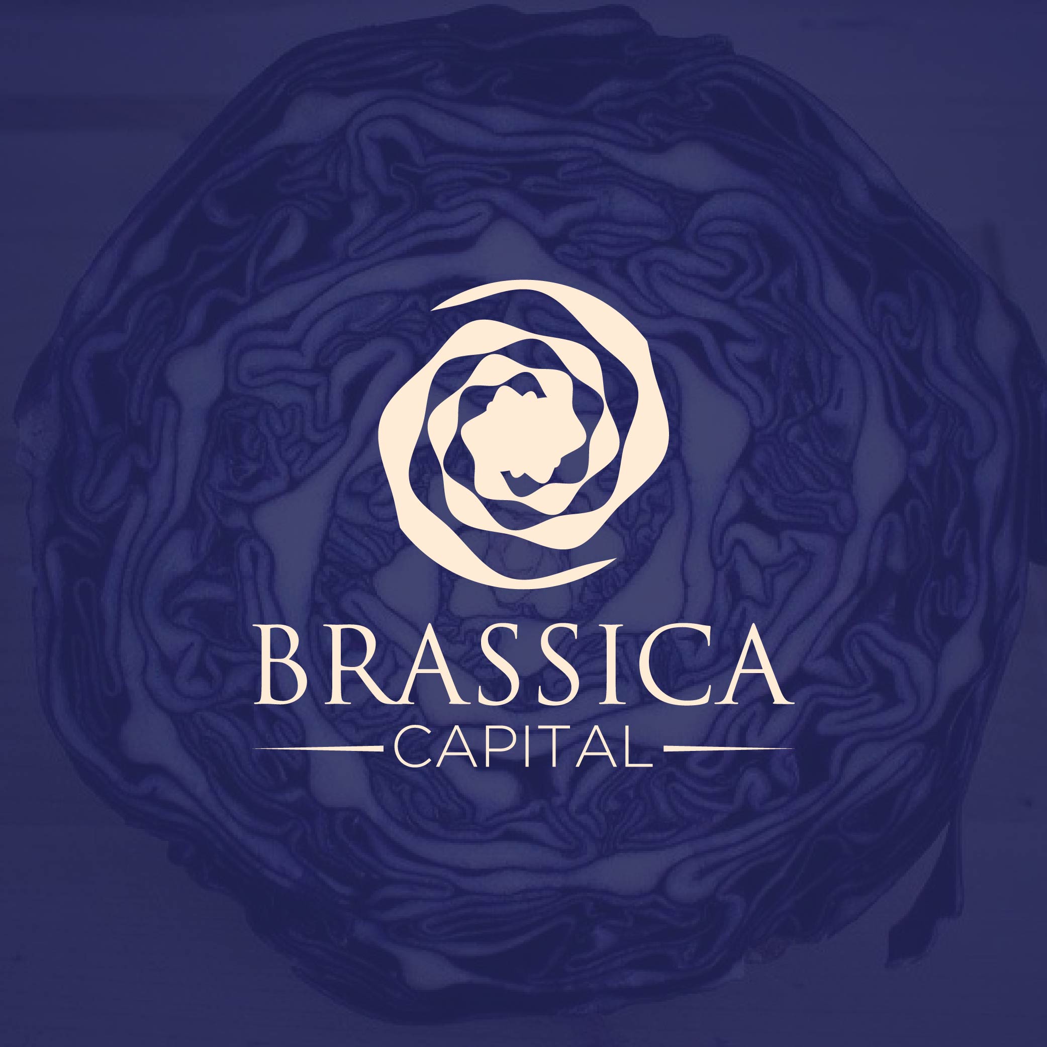 Logo Design by RIDITA for this project | Design #37314568