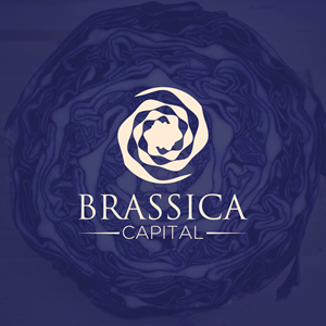 Logo Design by RIDITA for this project | Design: #37314568