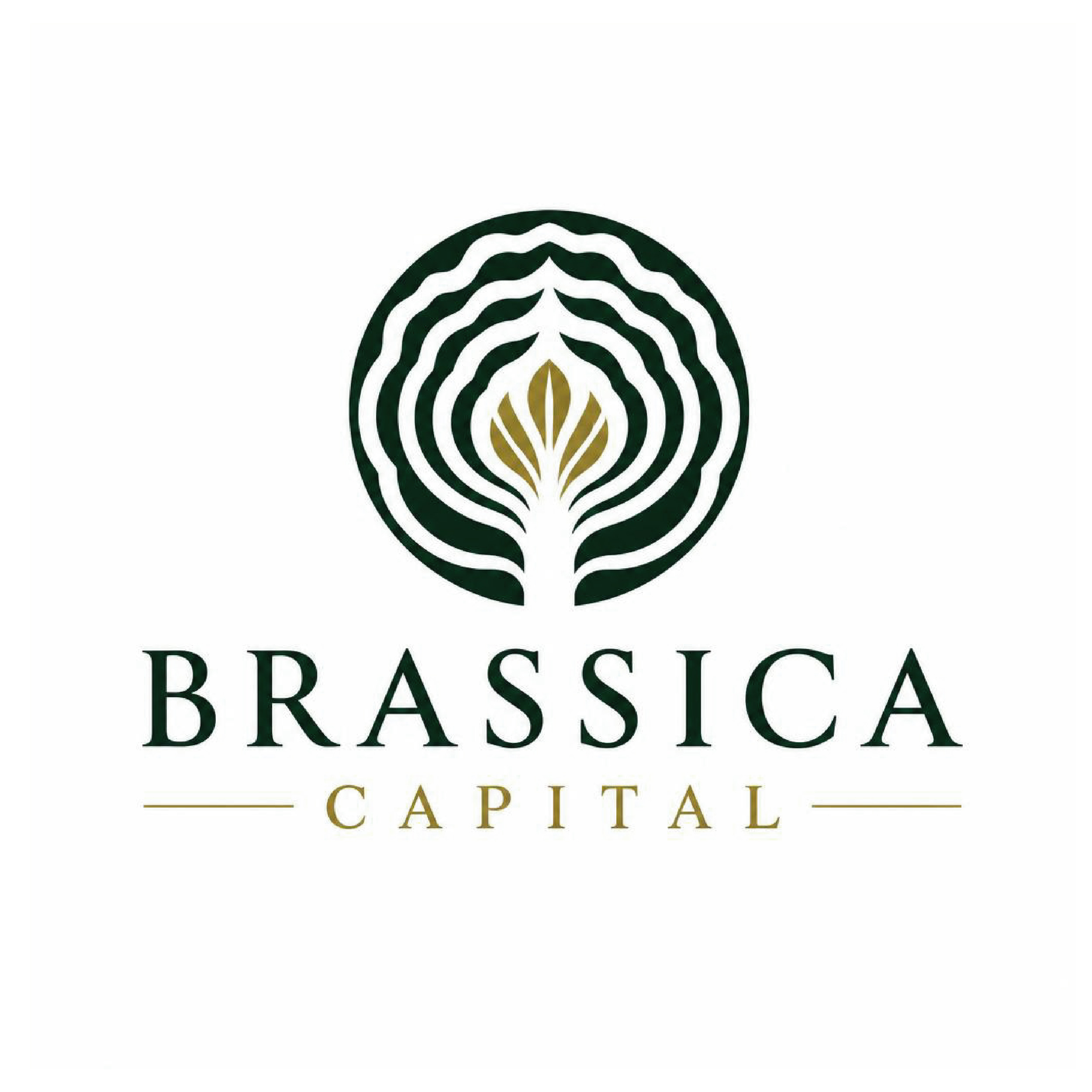 Logo Design by HSNYDesigns for this project | Design #37335733