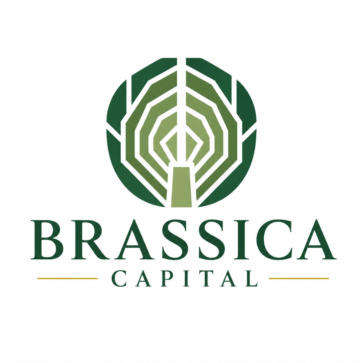 Logo-Design von Splendid Designs für dieses Projekt | Design #37403218