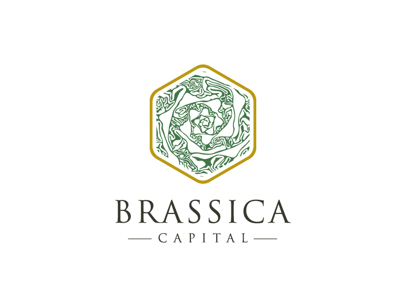Logo Design by Dream Logo Design for this project | Design #37315852