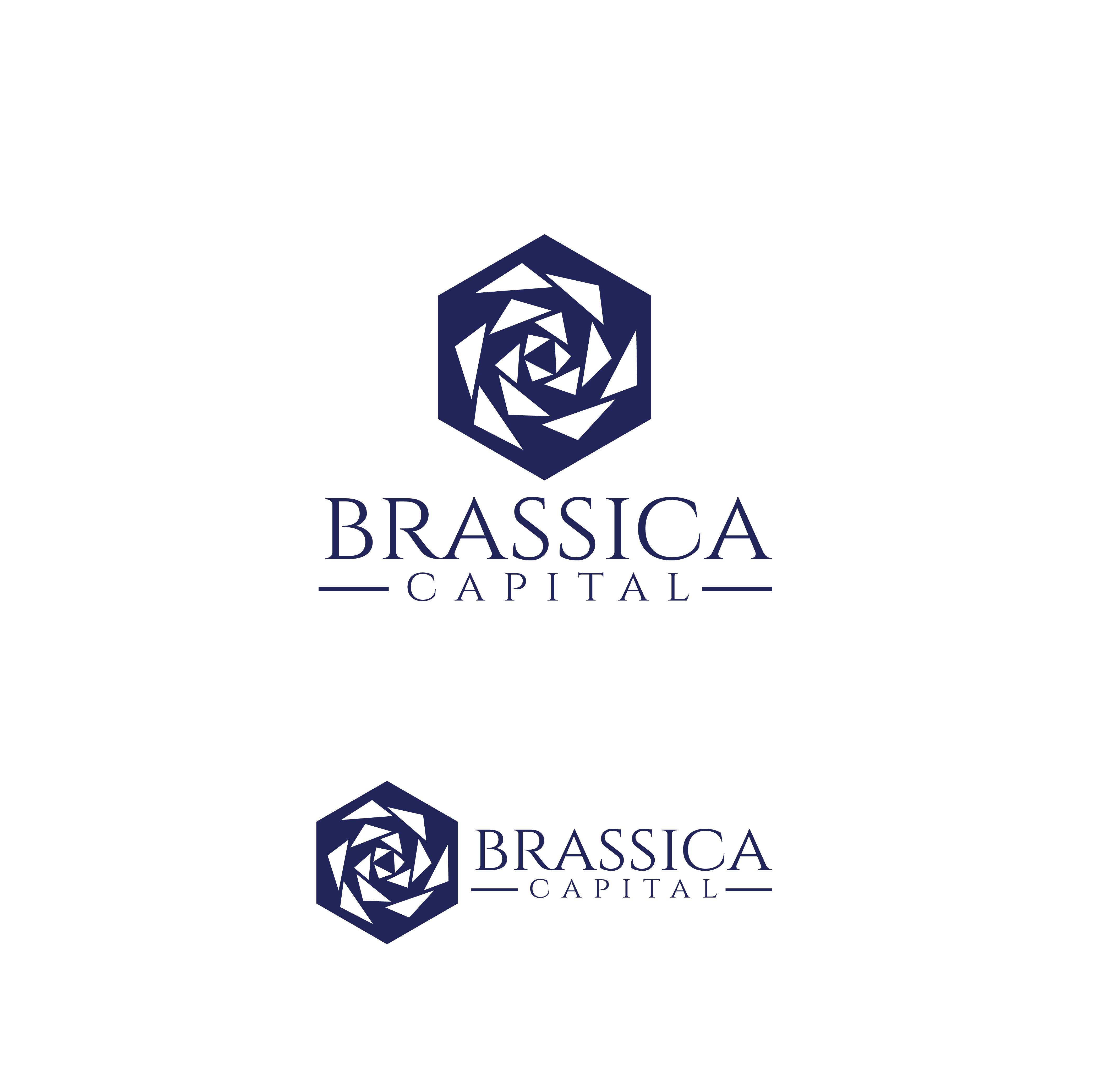 Logo Design by ares_h1 for this project | Design #37314900