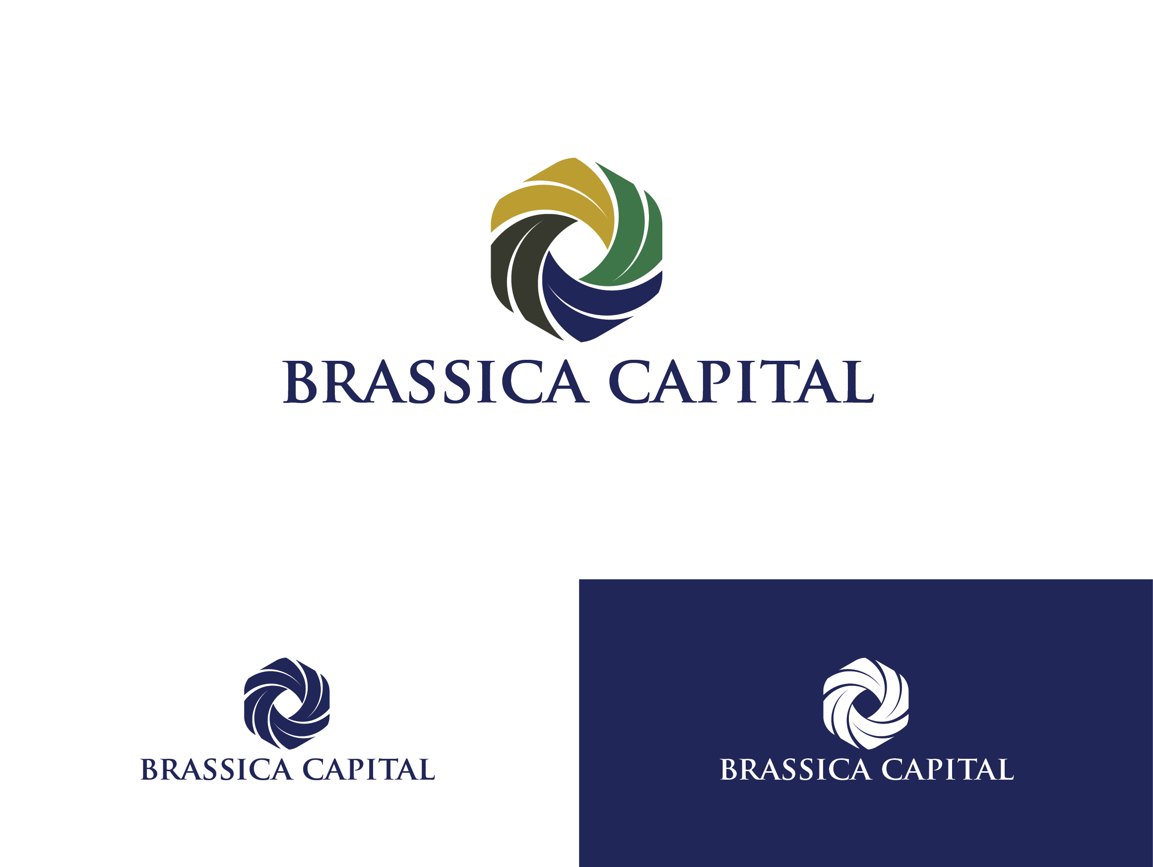 Logo Design by RuangDisain for this project | Design #37333393