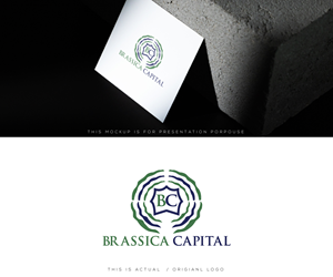 Logo Design by Ansh Design for this project | Design: #37314814