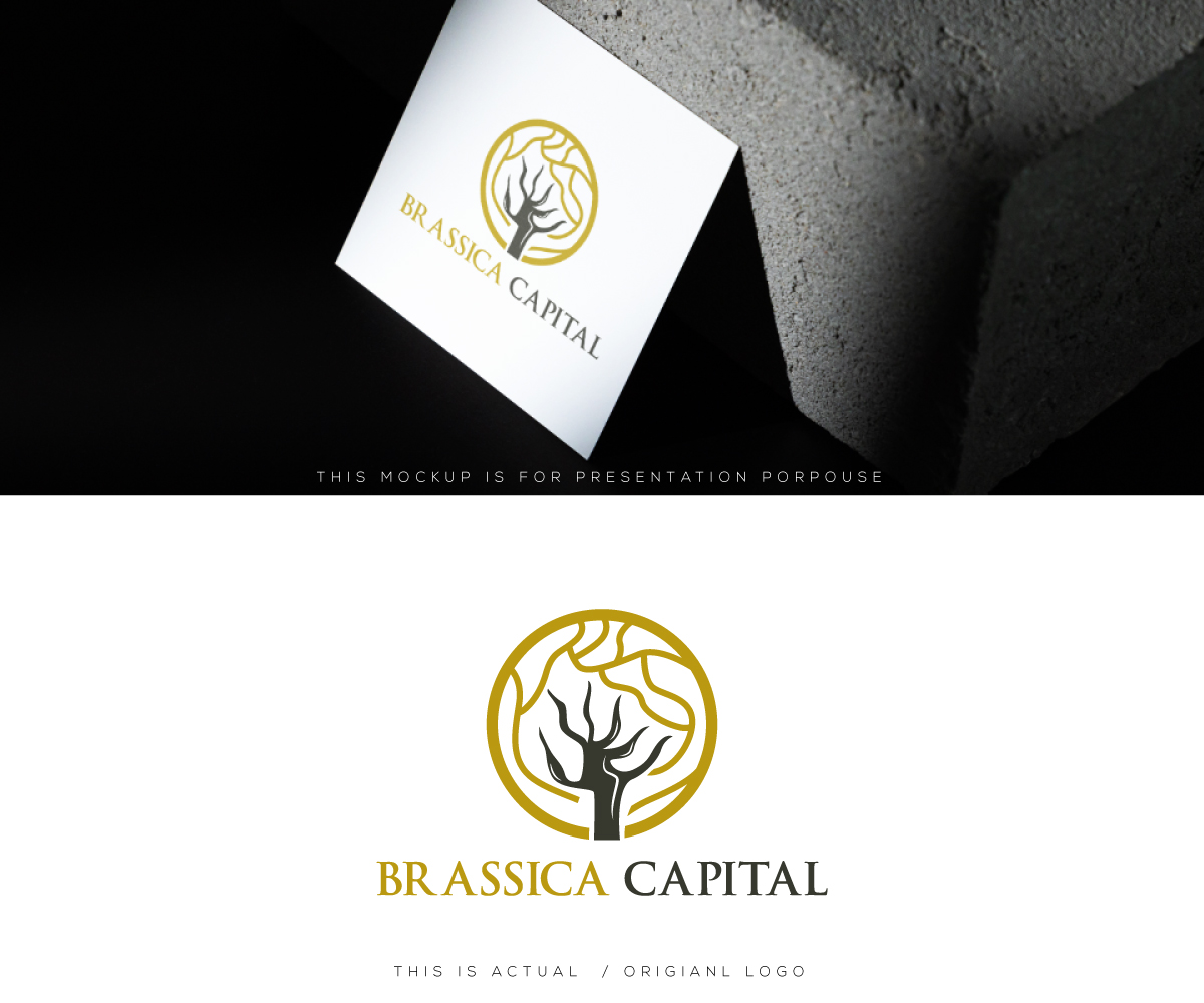 Logo Design by Ansh Design for this project | Design #37314815