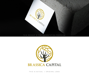 Logo Design by Ansh Design for this project | Design: #37314815