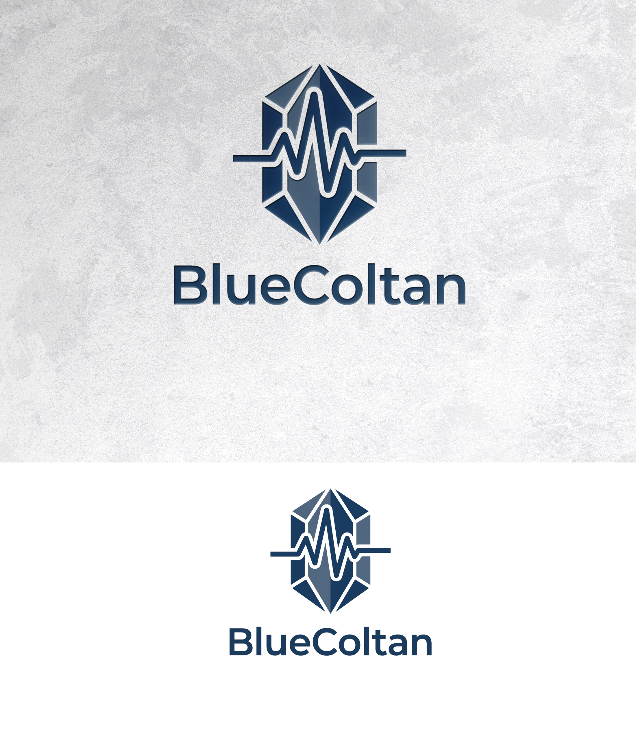 Logo Design by sonu.CR for this project | Design #37320913
