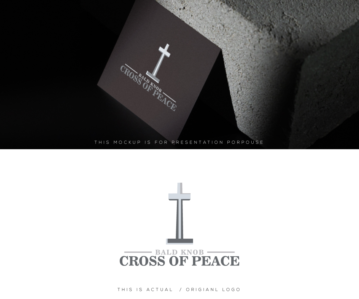 Logo Design by Ansh Design for this project | Design #37318162