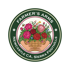 Logo Design by Bushra141