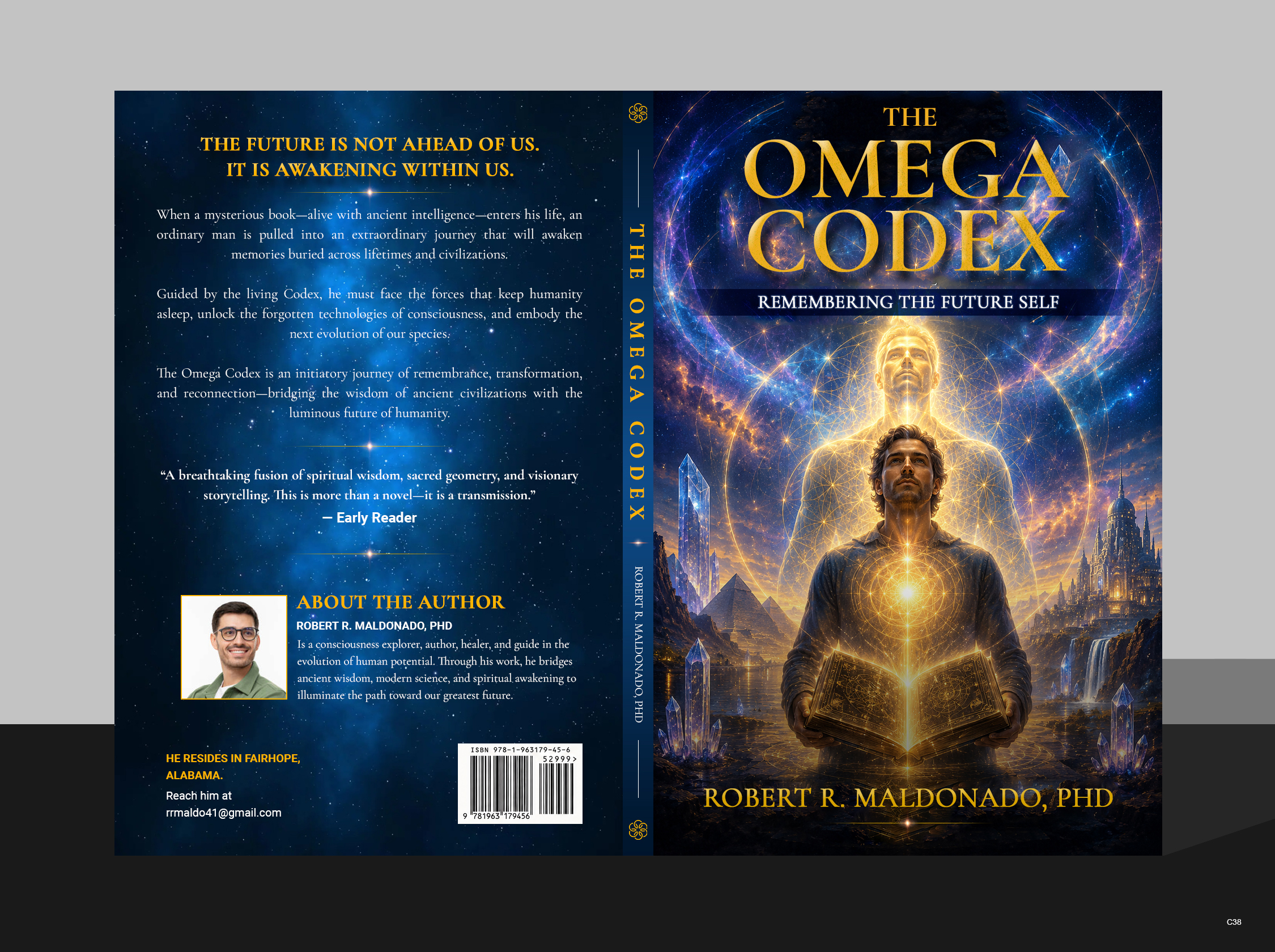 Book Cover Design by pb for this project | Design #37362980