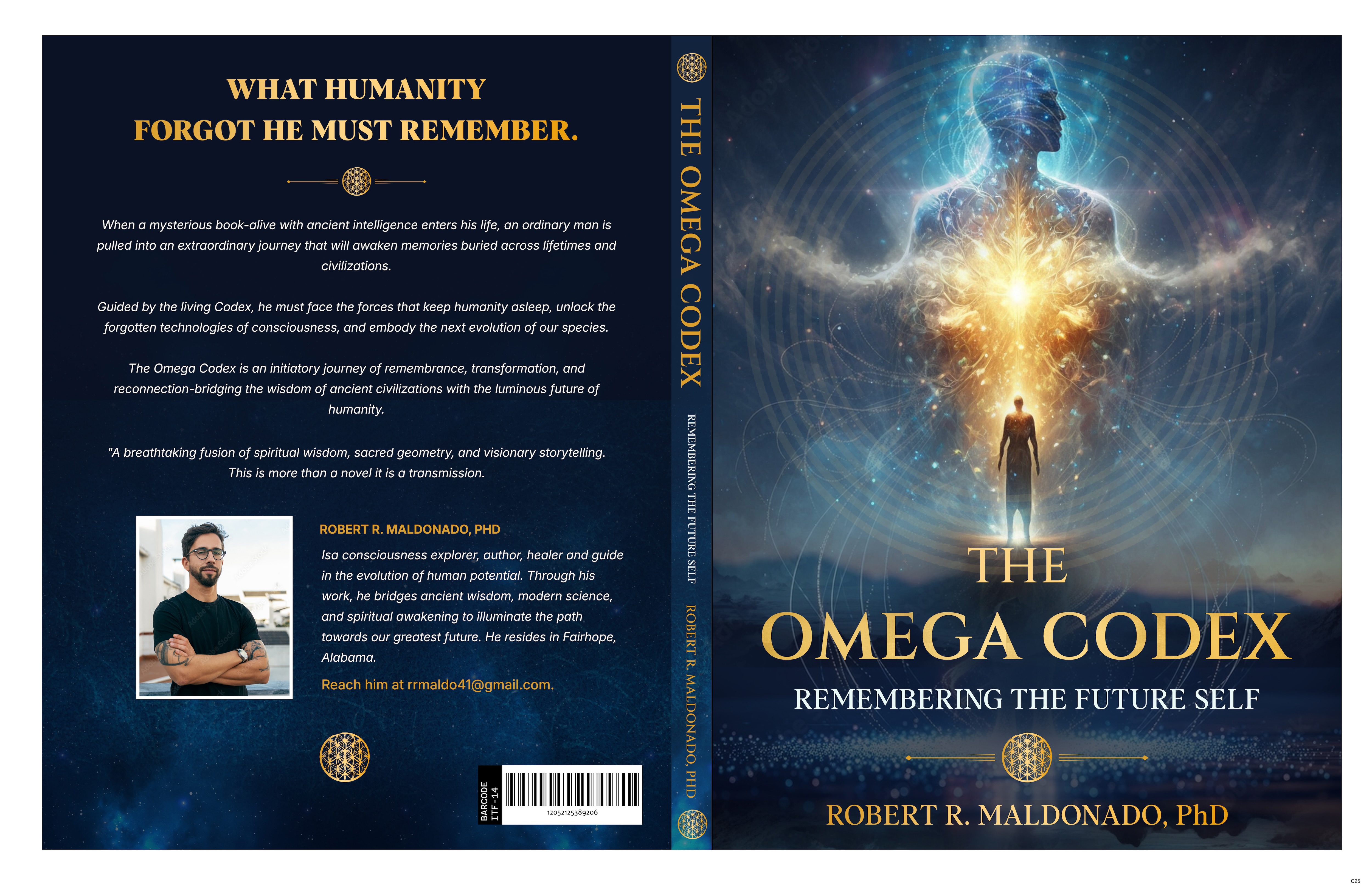 Book Cover Design by pb for this project | Design #37366595