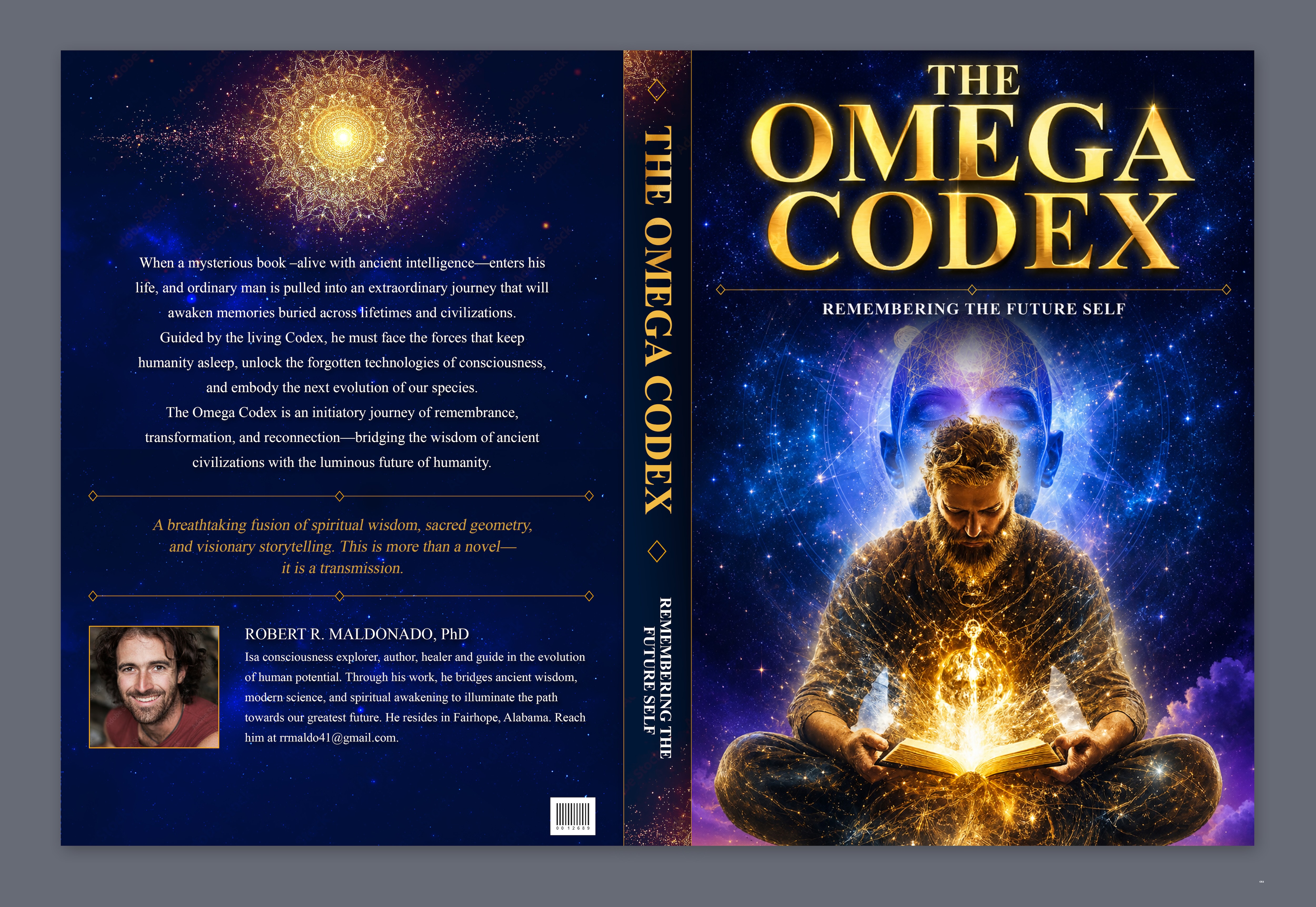 Book Cover Design by pb for this project | Design #37366598