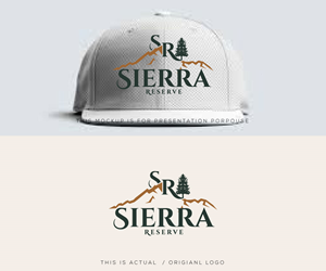 Logo Design by Ansh Design for this project | Design: #37361572
