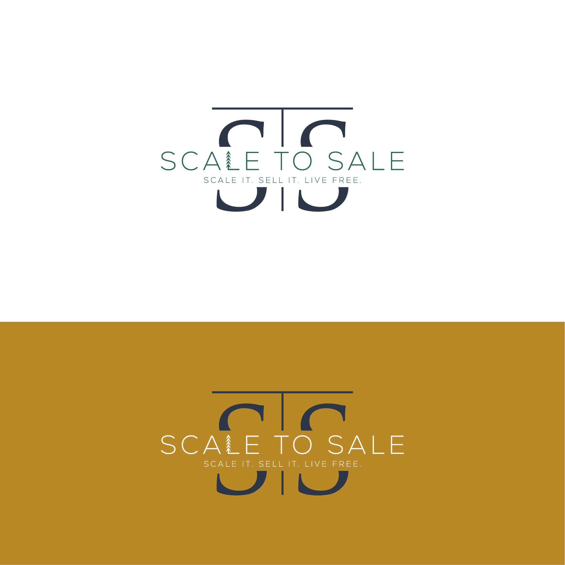 Logo Design by Talha Ahmad for this project | Design #37373405