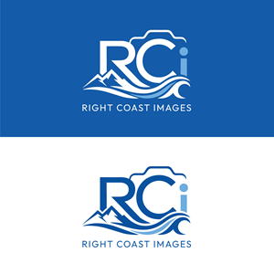 Logo Design by StromDesignHub for this project | Design #37374283