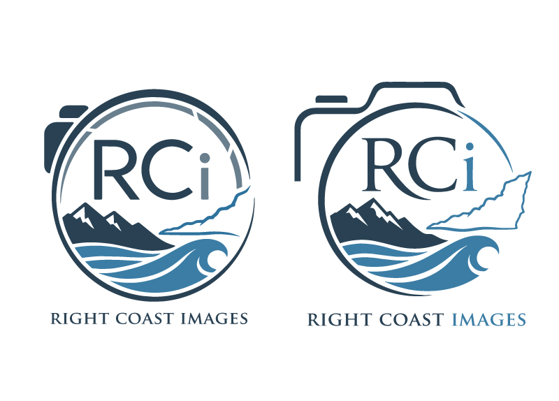 Diseño de Logo por FQ Designs para este proyecto | Diseño #37373046