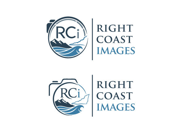 Logo Design by FQ Designs for this project | Design #37373057