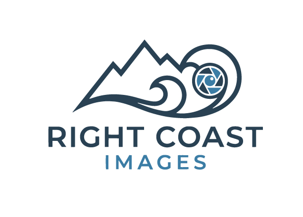 Logo Design by FQ Designs for this project | Design #37373159