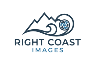 Logo Design by FQ Designs for this project | Design: #37373159