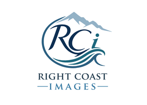 Logo Design by FQ Designs for this project | Design: #37373172