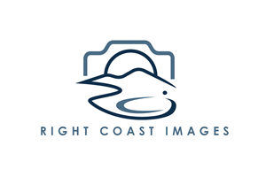 Logo Design by renderman for this project | Design: #37371846