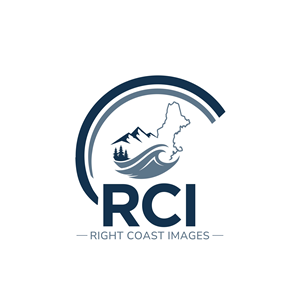 Logo Design by abu931102 for this project | Design: #37374956