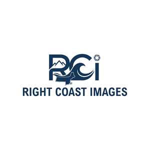 Logo Design by abu931102 for this project | Design: #37374996