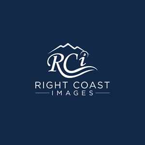 Logo Design by Designer Nayem for this project | Design: #37377882