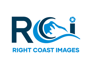 Logo Design by DiandraKali for this project | Design: #37373187