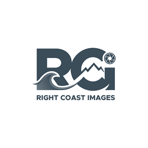 Logo Design by Crows Design for this project | Design: #37372448