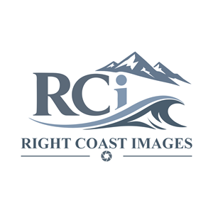 Logo Design by Sintia Sari for this project | Design: #37372529