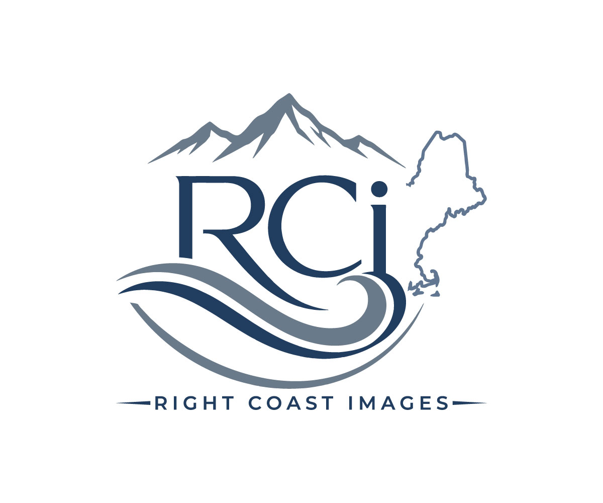 Logo Design by Alex75 for this project | Design #37375345