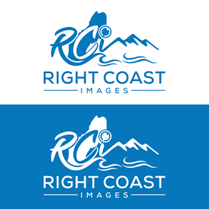 Logo Design by NeoCreative for this project | Design: #37374428