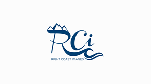 Logo Design by H.H.H for this project | Design: #37377777