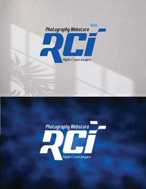 Logo Design by NIXXON