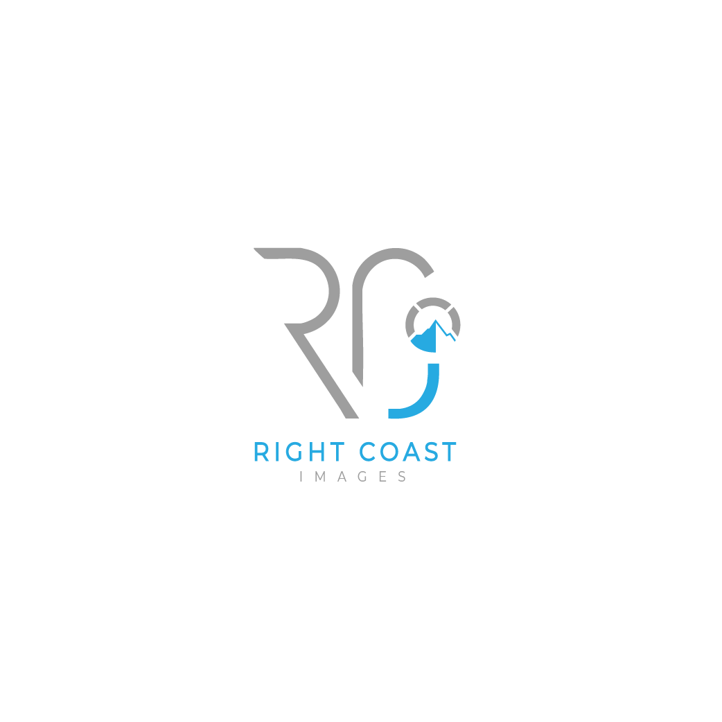 Logo Design by n1ck for this project | Design #37377922