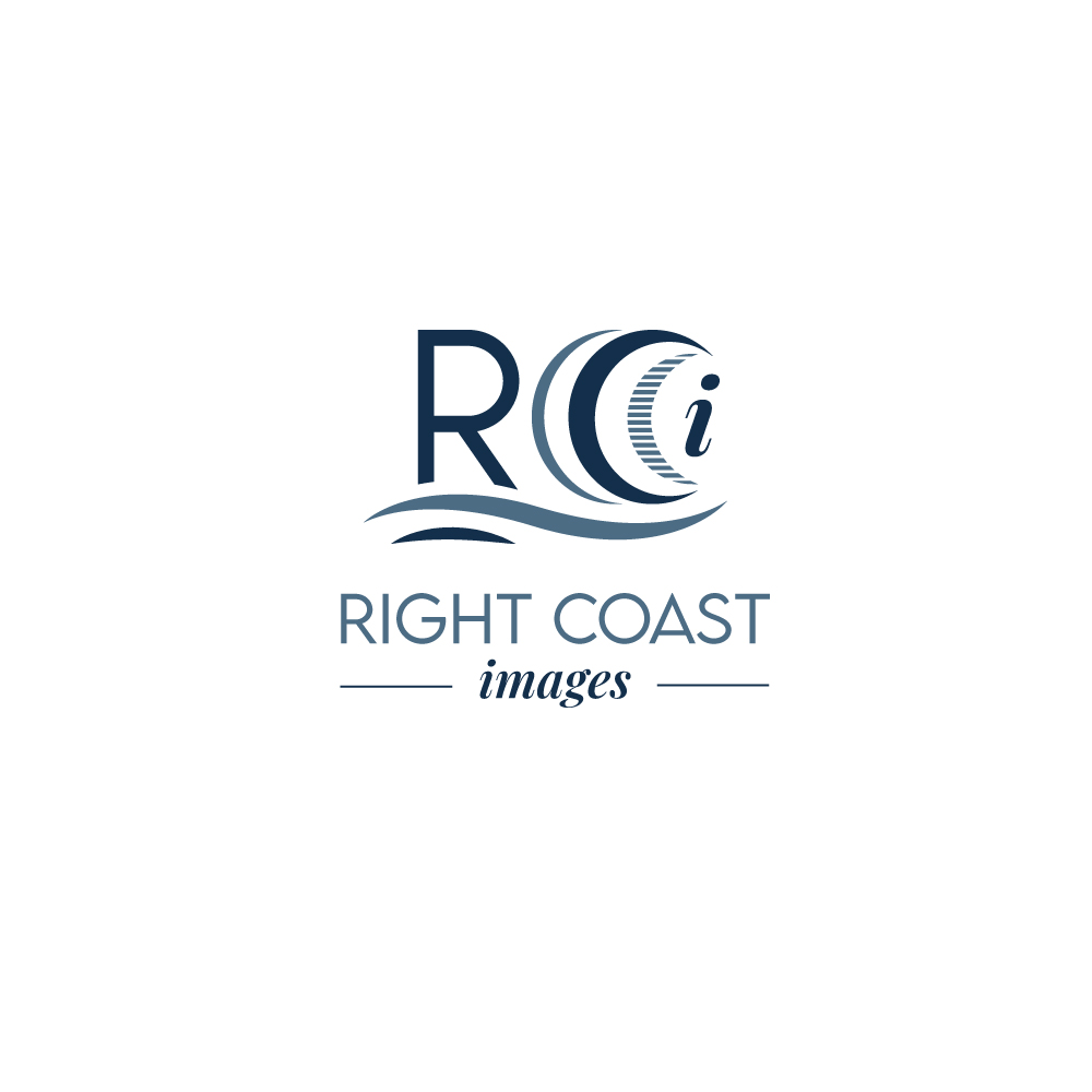 Design de Logo par saurov pour ce projet | Design #37372117