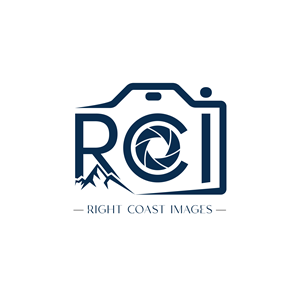 Logo Design by sani purohit