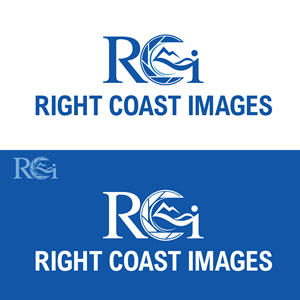 Logo Design by nguyenanhvu9588