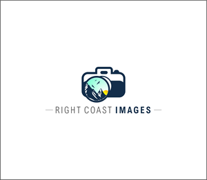 Logo Design by Andrei D for this project | Design: #37373462