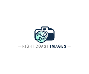 Logo Design by Andrei D for this project | Design: #37374989
