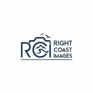 Logo Design by Ashani Bhattacharya for this project | Design: #37375243