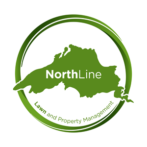 Logo Design by Talha Baslik for this project | Design: #37383901