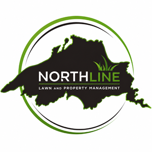 Logo Design by Crows Design for this project | Design: #37376103