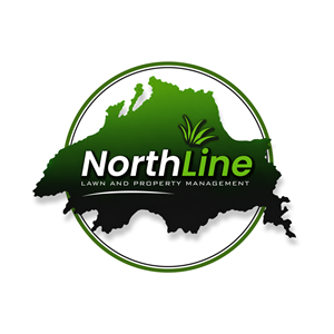 Logo Design by Anup Innovations for this project | Design: #37375900